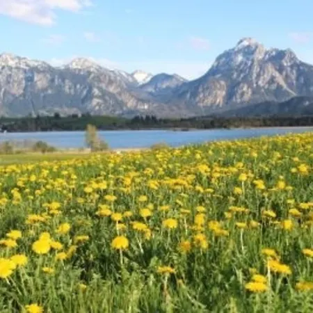 Hefele Schwansee Mit Koenigscard Хопферау