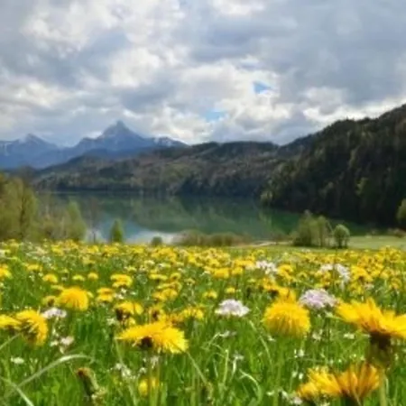Hefele Schwansee Mit Koenigscard Апартаменты