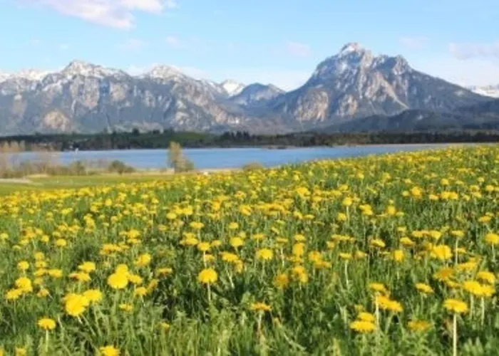 Hefele Schwansee Mit Koenigscard Hopferau