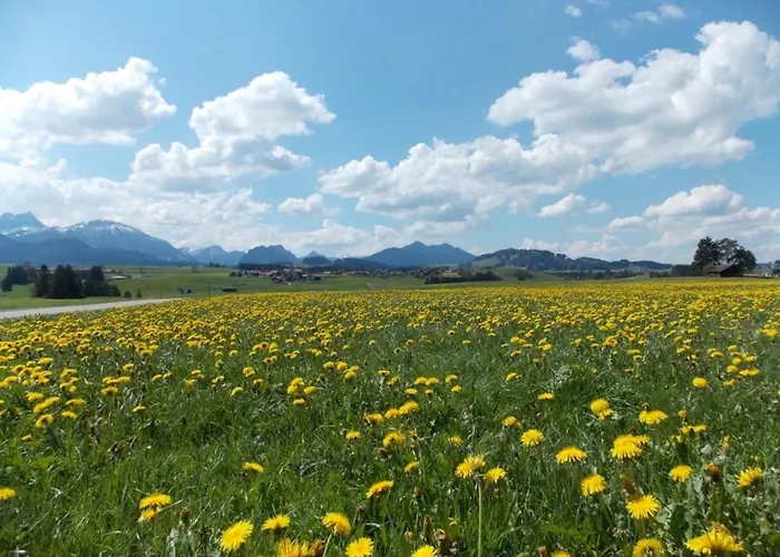 Hefele Schwansee Mit Koenigscard Apartmán Hopferau