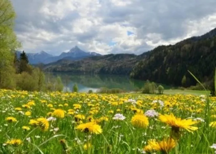 Hefele Schwansee Mit Koenigscard Apartmán